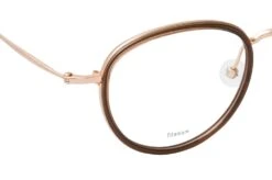 Rodenstock R 7096 B Brown, Light Gold -Longchamp Soldes Magasin 6770541 f